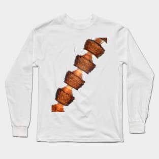 Rove beetle antenna under microscope Long Sleeve T-Shirt